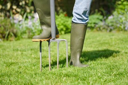 Loosen Up: Why Core Aeration Is A Must! Thumbnail